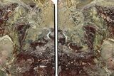 Tall, Red And Green Jasper Bookends - Marston Ranch, Oregon #202307-2